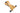 Packa Genie Running Boards